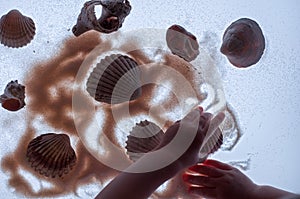 BabyÃ¢â¬â¢s hand, sand and seashells on light table.